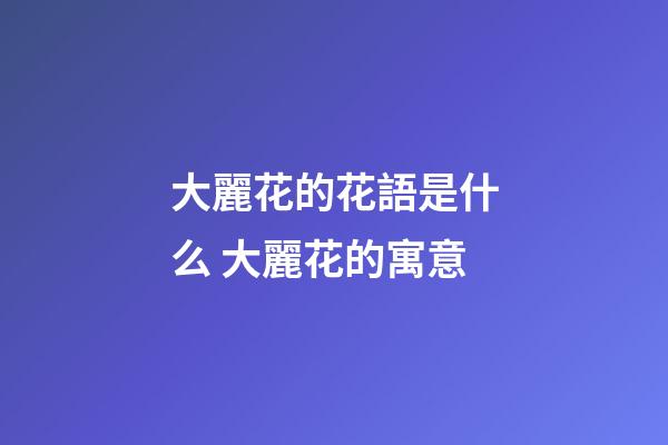 大麗花的花語是什么 大麗花的寓意